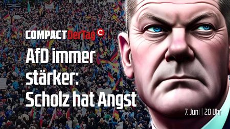 AfD immer stärker: Scholz hat Angst