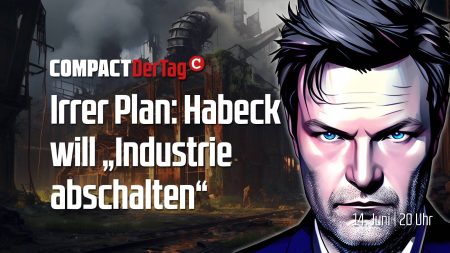 Irrer Plan: Habeck will ,,Industrie abschalten“