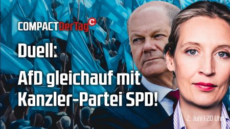 Duell: AfD gleichauf mit Kanzler-Partei SPD!