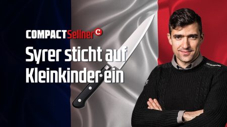 Frankreich: Syrer sticht auf Kleinkinder ein