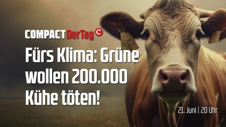 Fürs Klima: Grüne wollen 200.000 Kühe töten!