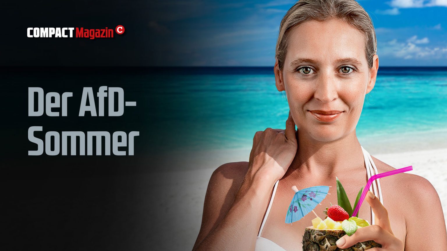 Unser Cover Des Jahres 2023 Alice Weidel COMPACT