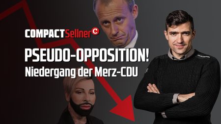 Niedergang der Pseudoopposition