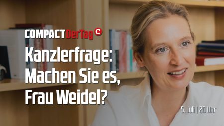 Kanzlerfrage: Machen Sie es, Frau Weidel?