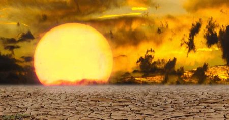 SPD fordert Maßnahmen gegen Sommerhitze