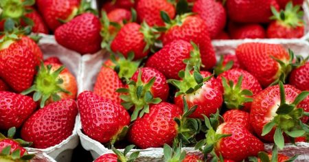 Grüner Umweltminister will Erdbeer-Verbot