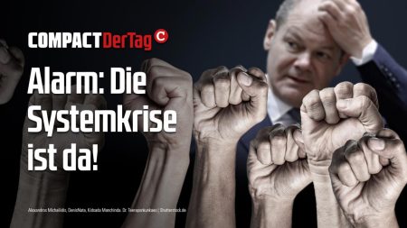 Alarm: Die Systemkrise ist da!