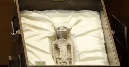 Mexiko: Aufregung um angebliche Alien-Mumien