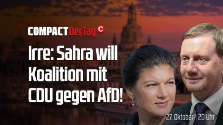 Irre: Sahra will Koalition mit CDU gegen AfD