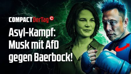 Asyl-Kampf: Musk mit AfD gegen Baerbock