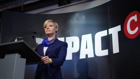 AfD-Hamburg kickt beliebte Abgeordnete von der Liste