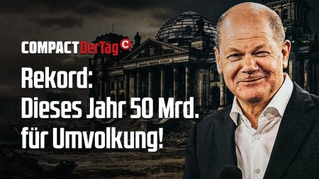 Rekord: Dieses Jahr 50 Mrd. für Umvolkung!