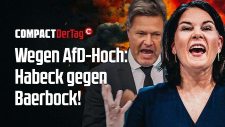 Wegen AfD-Hoch: Habeck gegen Baerbock!