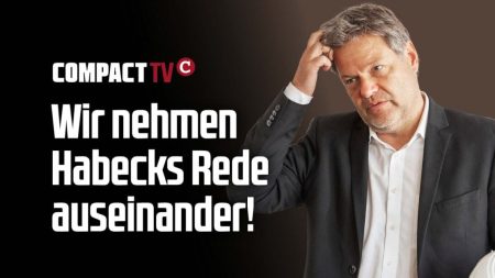 Analyse: Wir nehmen Habecks Rede auseinander