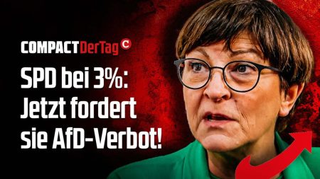 SPD bei 3%: Jetzt fordert sie AfD-Verbot!