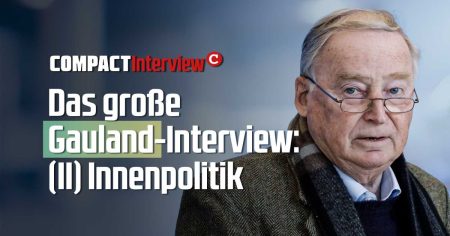 Das große Gauland-Interview – Teil II: Innenpolitik