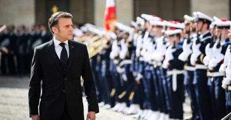 Der Fluch des Bonsai-Napoleons