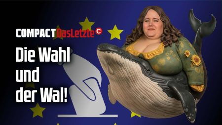 Das LETZTE: Die Wahl und der Wal