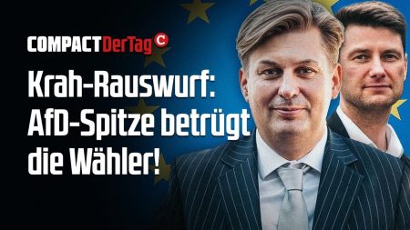 Krah-Rauswurf: AfD-Spitze betrügt die Wähler!