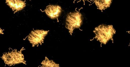 Der Feind in unserem Körper