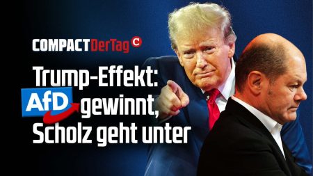 Trump-Effekt: AfD gewinnt, Scholz geht unter