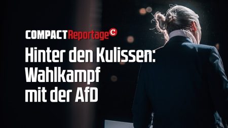 Wahlkampf: Hinter den Kulissen der AfD