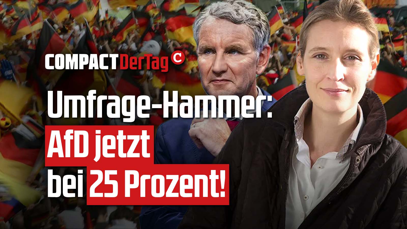 umfrage-hammer-afd-jetzt-bei-25-prozent-compact
