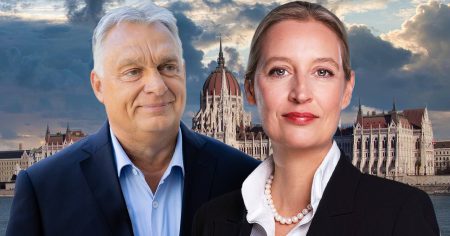 Weidel punktet international