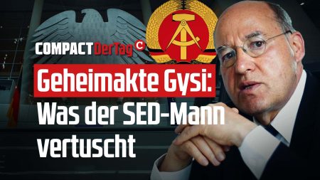 Geheimakte Gysi: Was der SED-Mann vertuscht