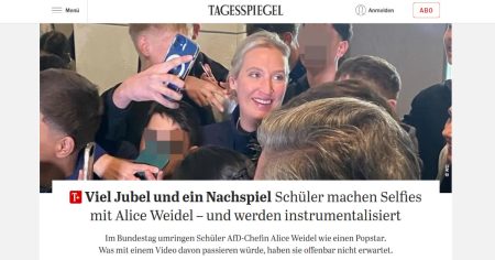 Mainstream tobt: Weidel-Video schlägt hohe Wellen