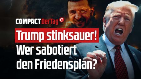 Trump stinksauer! Wer sabotiert den Friedensplan?