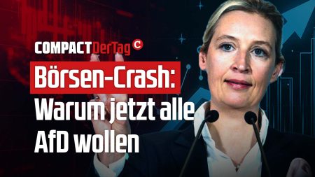 Börsen-Crash: Warum jetzt alle AfD wollen