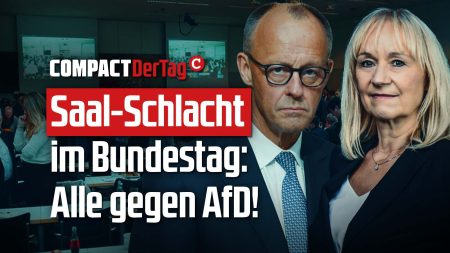 Saal-Schlacht im Bundestag: Alle gegen AfD!