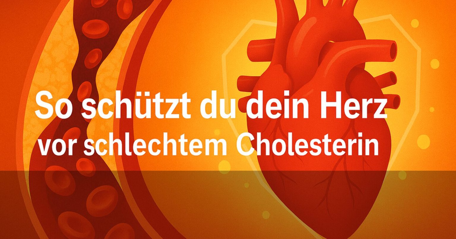 Herzgesundheit verbessern - Cholesterin im Gleichgewicht halten