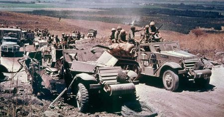 Israels Wüstenfuchs