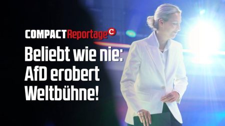 Beliebt wie nie: AfD erobert Weltbühne
