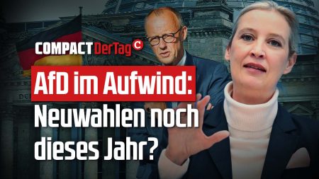 AfD im Aufwind: Neuwahlen noch dieses Jahr?