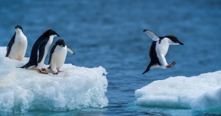 Antarktis: Eismasse nimmt deutlich zu