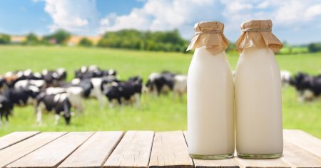 Rohmilch: Erfrischung für Körper und Seele