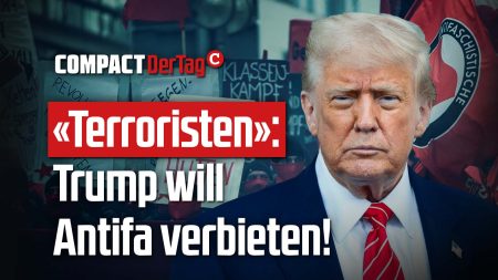 «Terroristen»: Trump will Antifa verbieten!