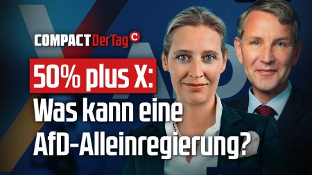 50% plus X: Was kann eine AfD-Alleinregierung?
