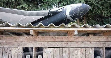 Die Drohne auf dem Kaninchenstall