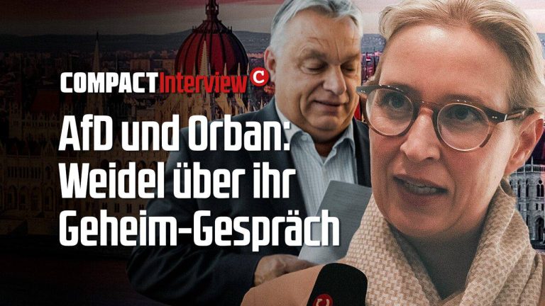 AfD und Orban: Weidel über ihr Geheim-Gespräch