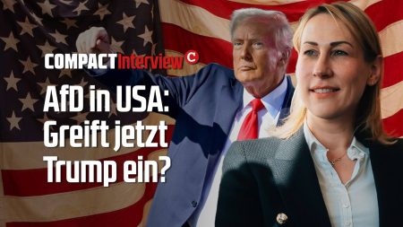 AfD in USA: Greift jetzt Trump ein?