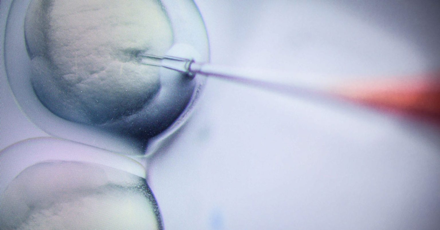 Das Geheimnis der Gene