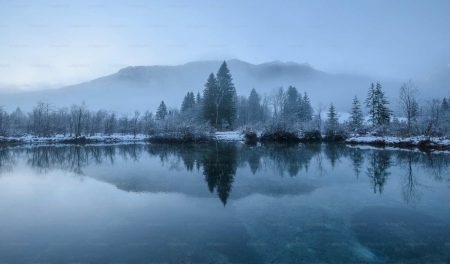 Winterlicher Nebelsee mit verschneiten Bäumen – Symbol für Kälte, Erschöpfung und gefordertes Immunsystem