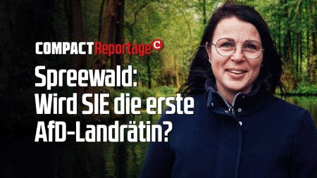 Spreewald: Wird SIE die erste AfD-Landrätin?