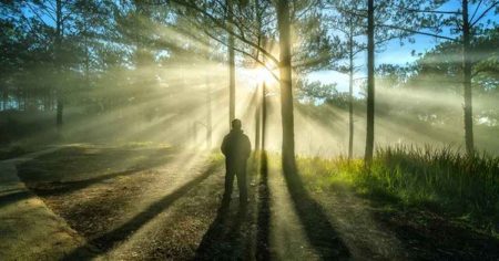 Unsichtbare Gefahr: Was unsere Zellen krank macht Unsichtbare Gefahr für die Gesundheit – wie Zellstress und innere Prozesse den Körper belasten