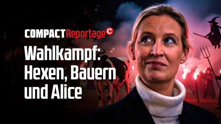 Wahlkampf: Hexen, Bauern und Alice
