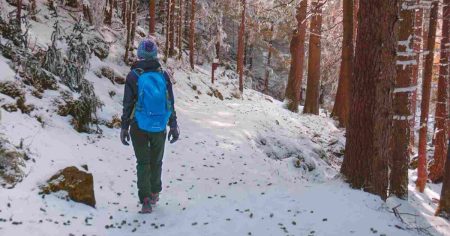 Chronische Schmerzen? Gelenke gezielt stärken! Winterliche Wanderung im Wald – Bewegung stärkt Gelenke trotz chronischer Schmerzen